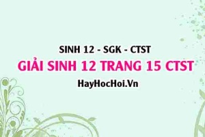 Giải Sinh 12 trang 16 Chân trời sáng tạo SGK